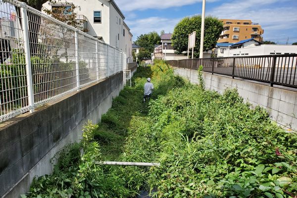 ヤマモモ公園脇