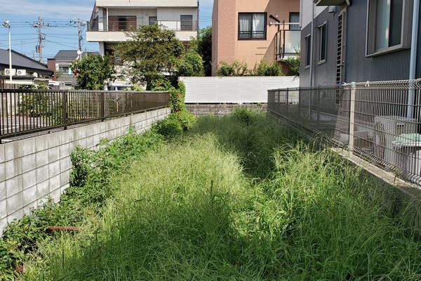 ヤマモモ公園脇