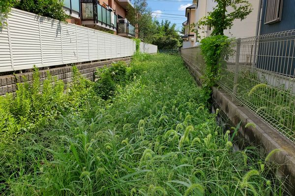 ヤマモモ公園脇