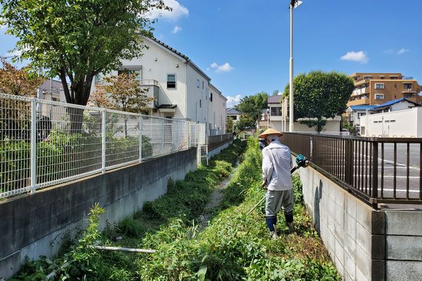 ヤマモモ公園脇