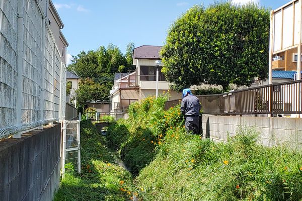 ヤマモモ公園脇