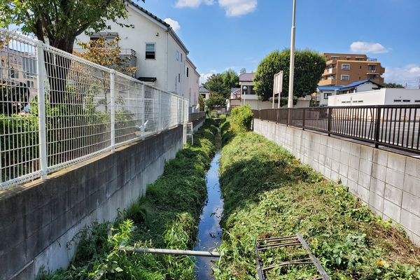 ヤマモモ公園脇