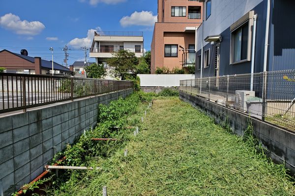 ヤマモモ公園脇