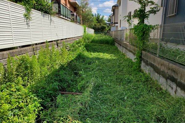 ヤマモモ公園脇