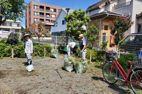 ヤマモモ公園脇