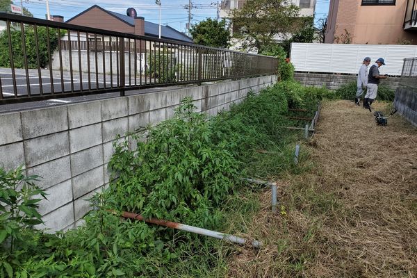 ヤマモモ公園脇