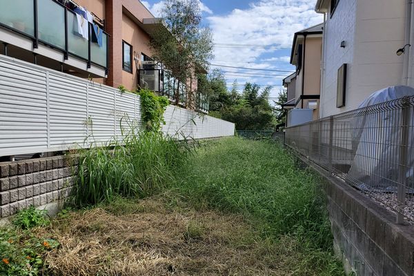 ヤマモモ公園脇