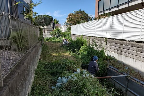 ヤマモモ公園脇