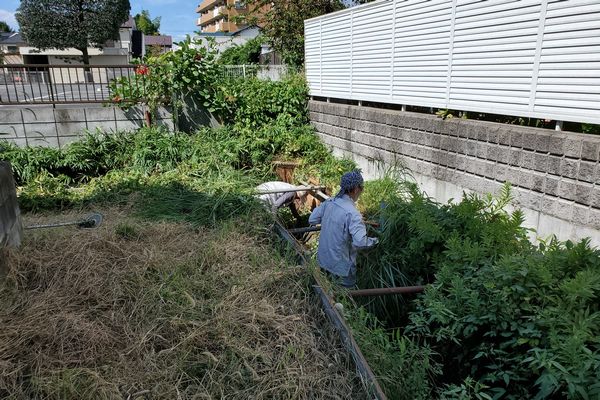 ヤマモモ公園脇