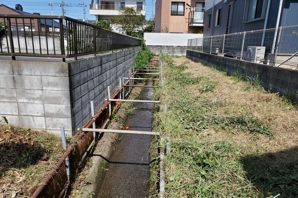 ヤマモモ公園脇