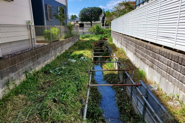 ヤマモモ公園脇