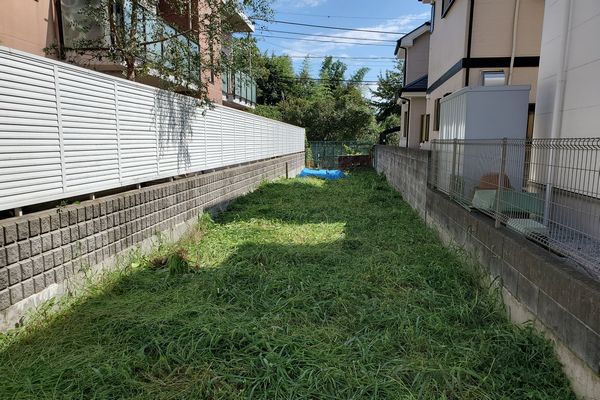 ヤマモモ公園脇