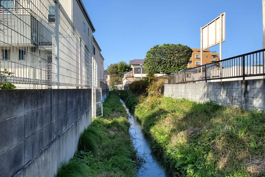 ヤマモモ公園脇