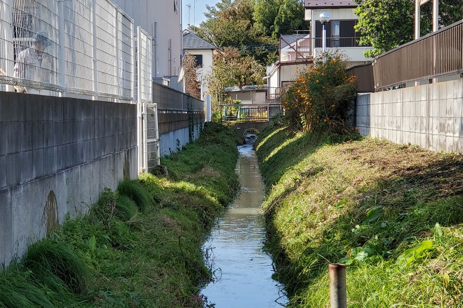 ヤマモモ公園脇