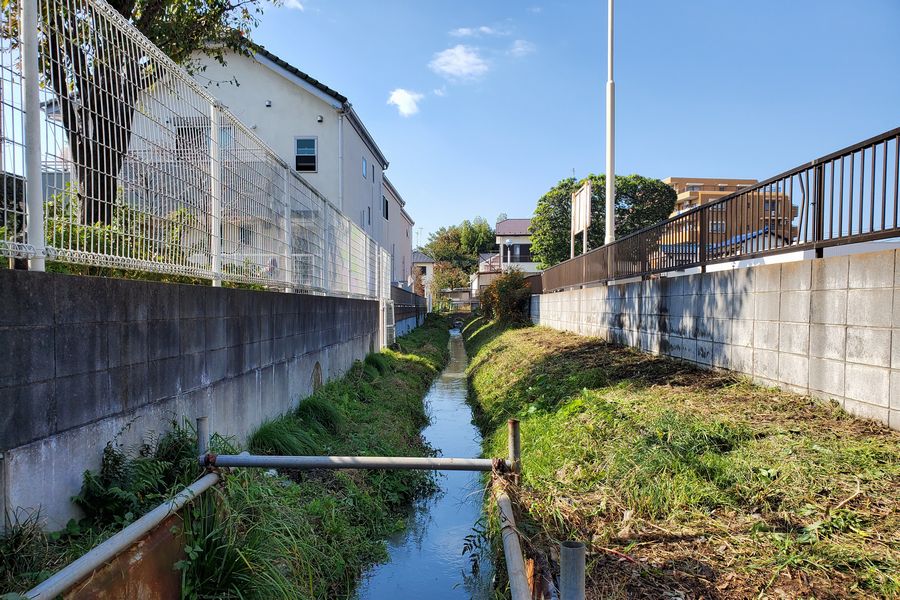 ヤマモモ公園脇
