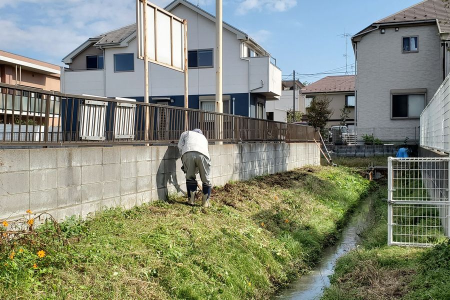 ヤマモモ公園脇