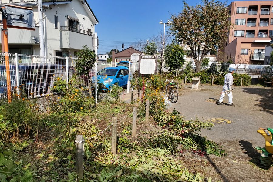 ヤマモモ公園脇
