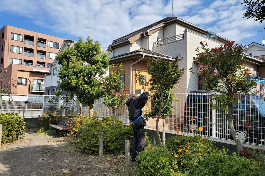 ヤマモモ公園脇