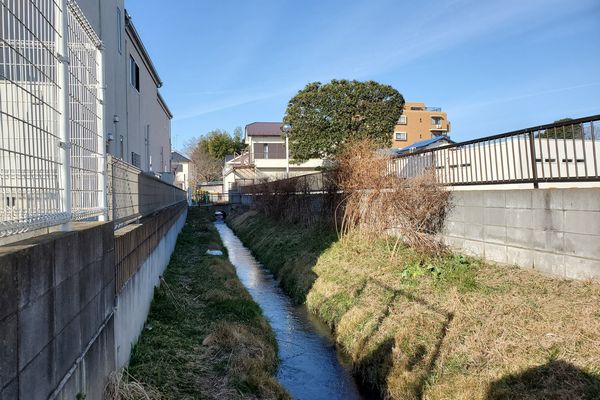 ヤマモモ公園脇