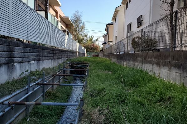 ヤマモモ公園脇