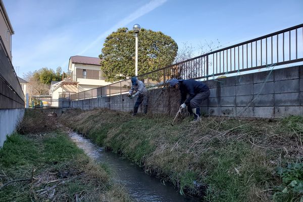 ヤマモモ公園脇