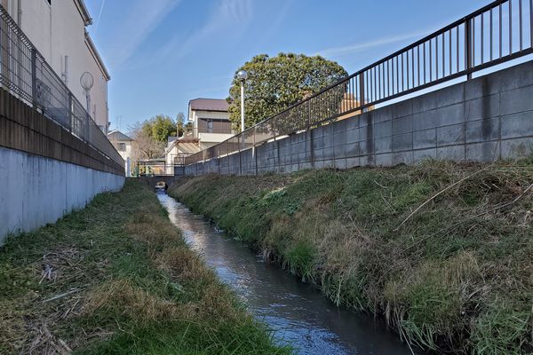 ヤマモモ公園脇