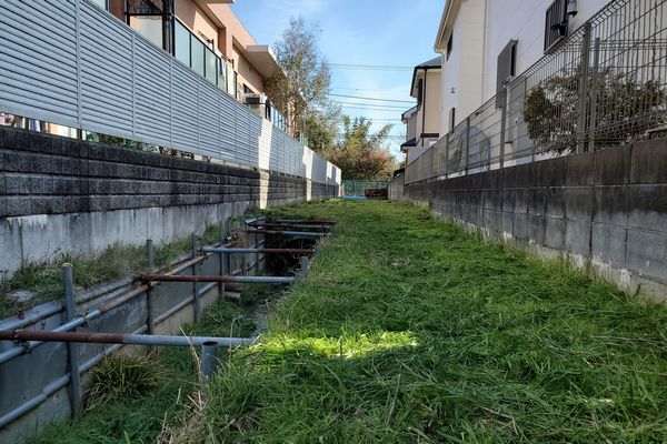 ヤマモモ公園脇