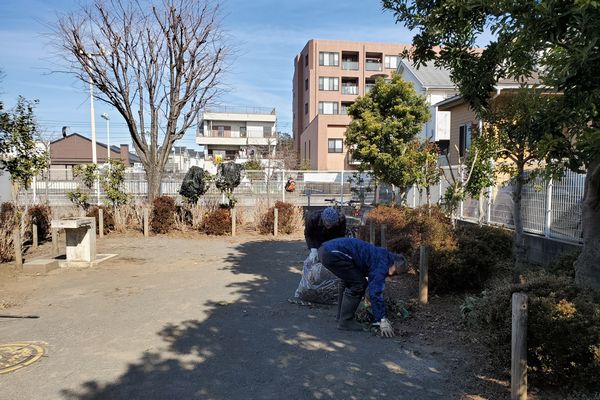 ヤマモモ公園脇