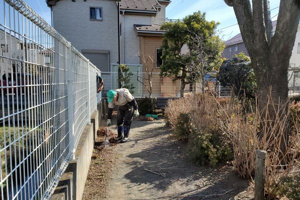 ヤマモモ公園脇