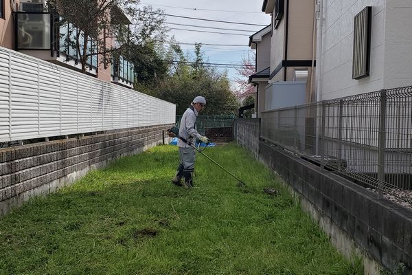 ヤマモモ公園脇