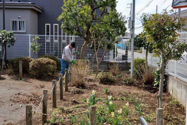 ヤマモモ公園脇
