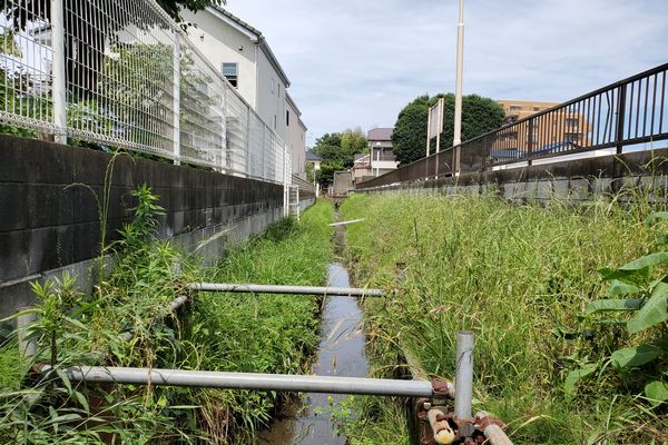 ヤマモモ公園脇