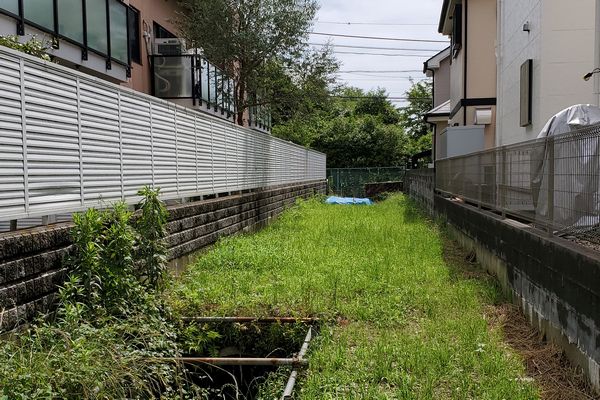 ヤマモモ公園脇