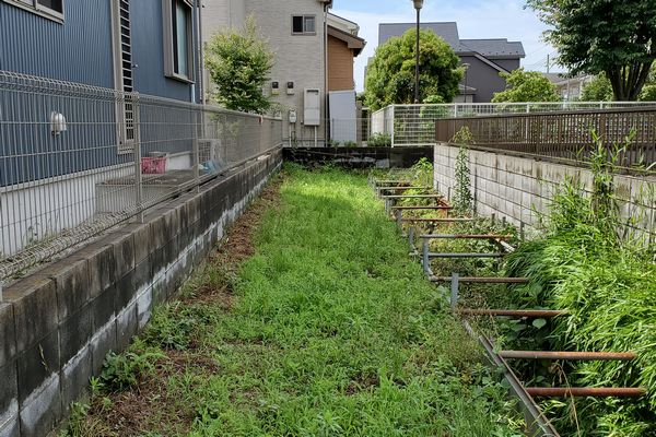 ヤマモモ公園脇