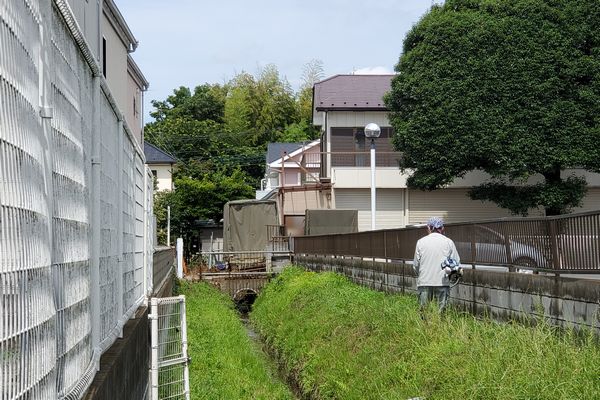 ヤマモモ公園脇
