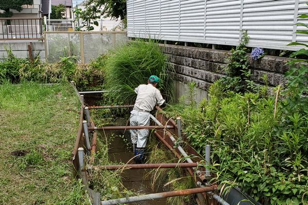 ヤマモモ公園脇
