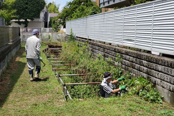 ヤマモモ公園脇