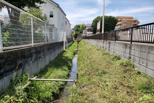 ヤマモモ公園脇