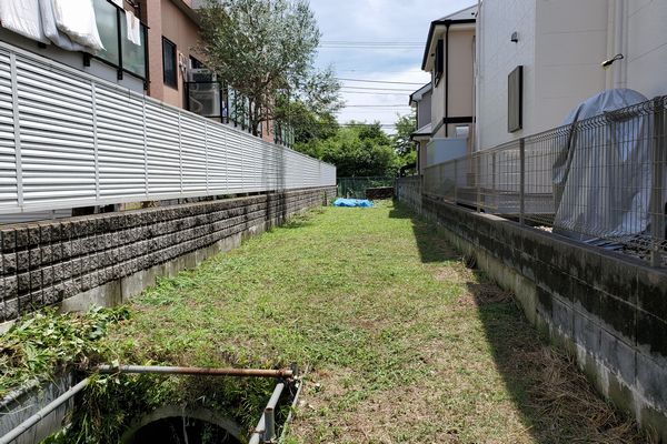 ヤマモモ公園脇