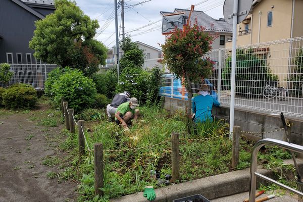 ヤマモモ公園脇