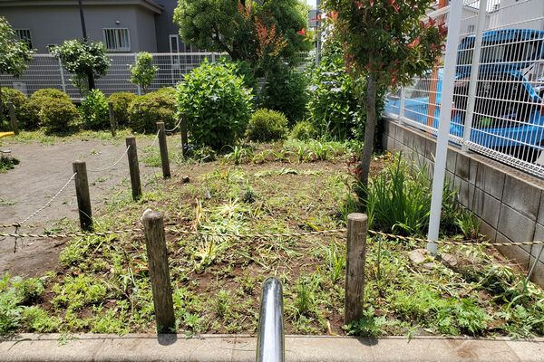 ヤマモモ公園脇