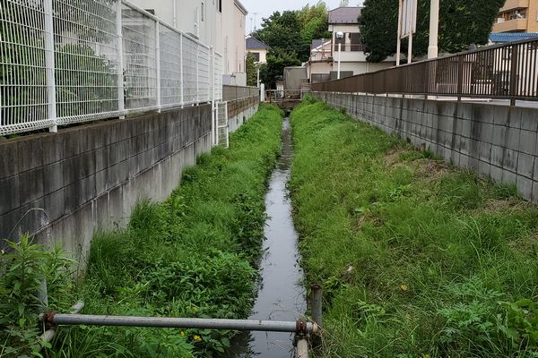 ヤマモモ公園脇