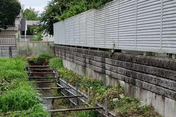 ヤマモモ公園脇