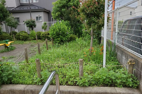 ヤマモモ公園脇