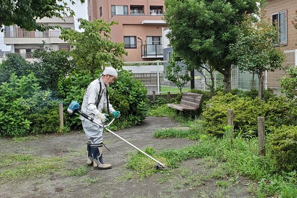 ヤマモモ公園脇