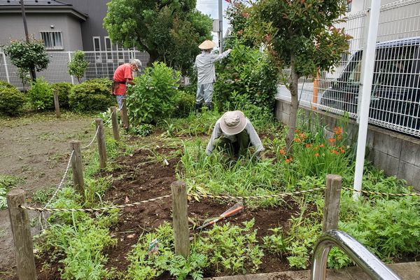 ヤマモモ公園脇