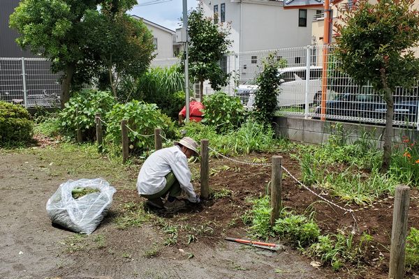 ヤマモモ公園脇
