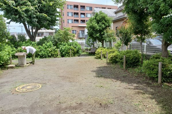 ヤマモモ公園脇