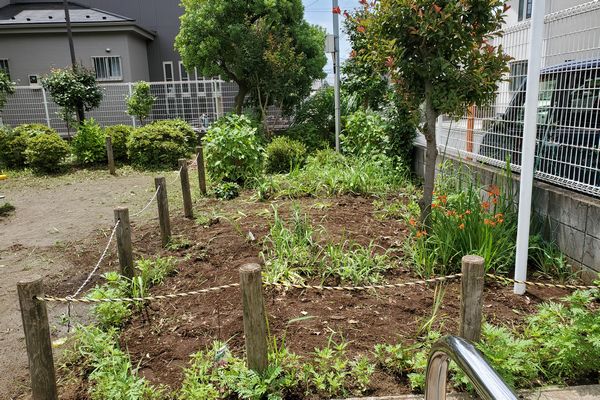 ヤマモモ公園脇