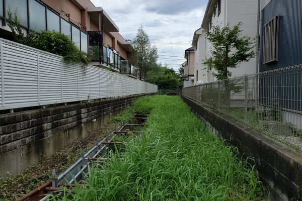 ヤマモモ公園脇